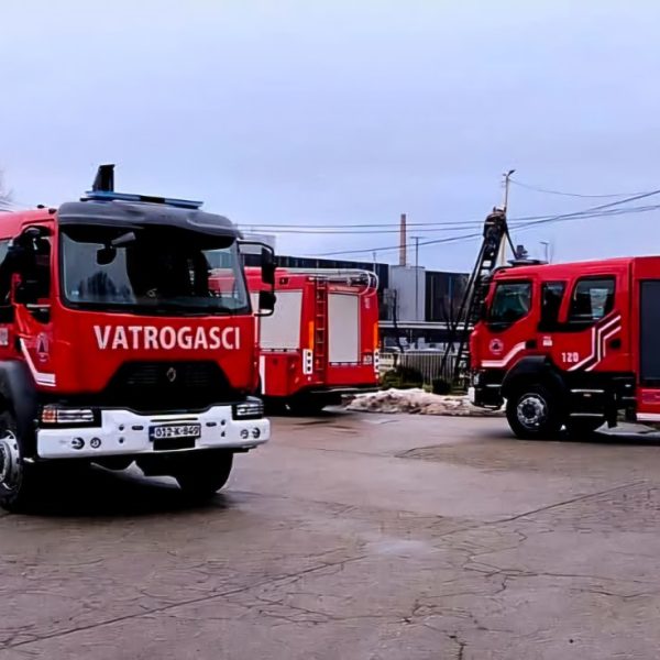 viber_image_2026-01-12_14-23-50-817